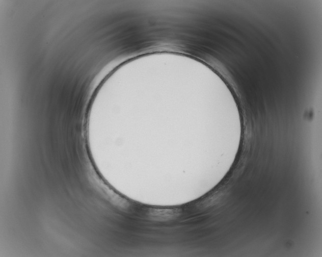 X0000111501339200908251041