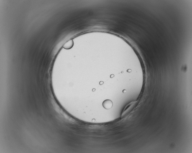 X0000111501341200908251041