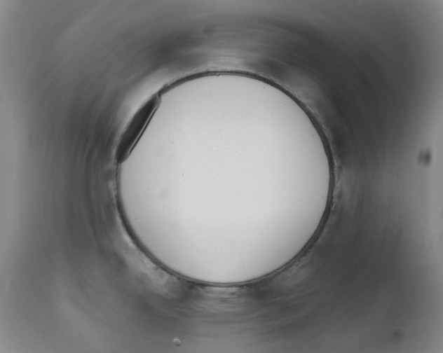 X0000111501342200908251041