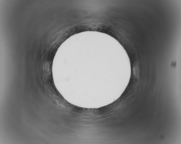 X0000111501347200908251040