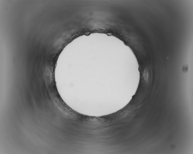 X0000111501348200908251040