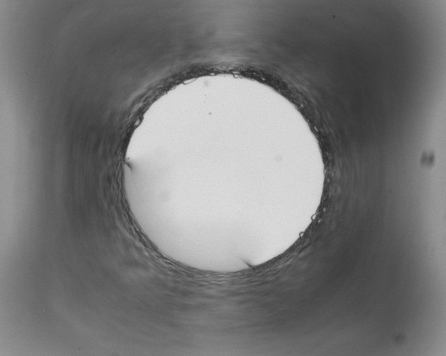 X0000111501349200908251040