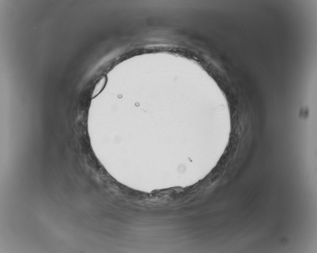 X0000111501351200908251040