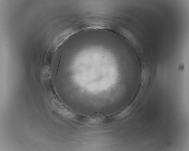 X0000111501353200908251040