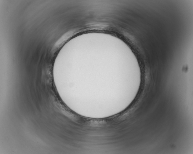 X0000111501354200908251040