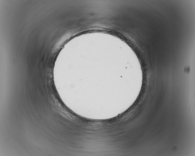 X0000111501355200908251040