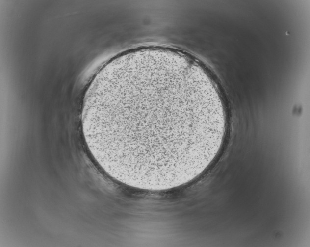 X0000111501359200908251040