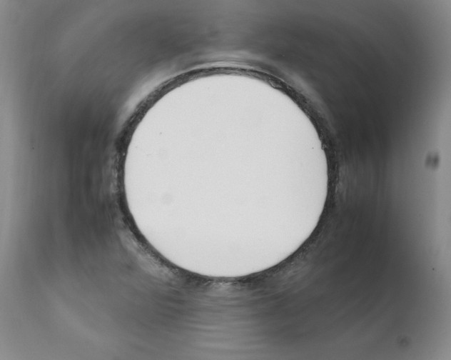 X0000111501360200908251040