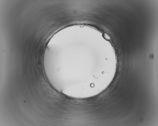 X0000111501361200908251040