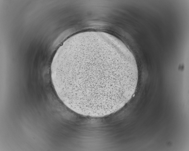 X0000111501362200908251040