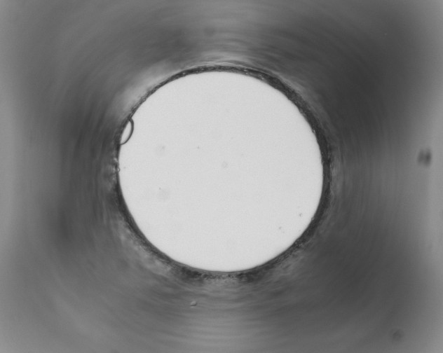 X0000111501363200908251040