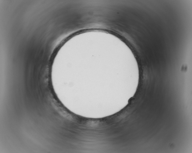 X0000111501364200908251040