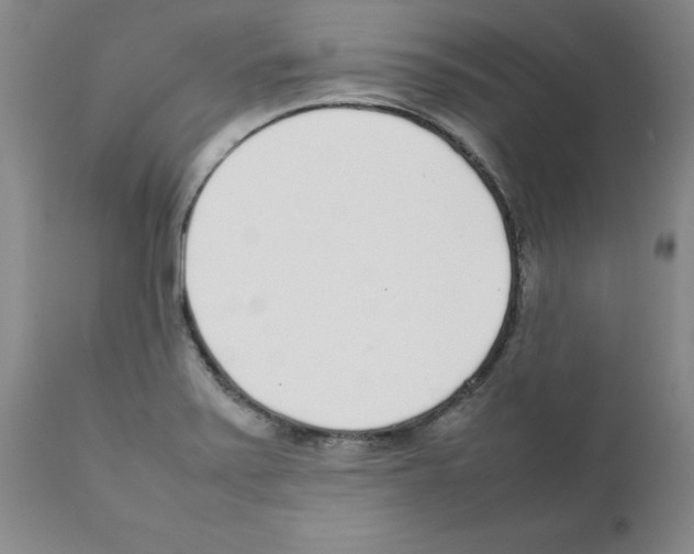 X0000111501371200908251039