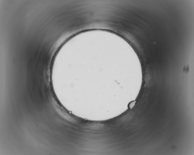 X0000111501372200908251039