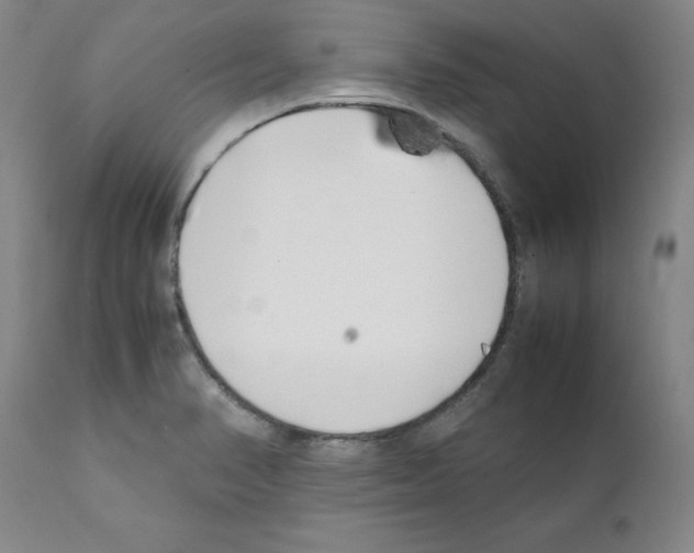 X0000111501374200908251039