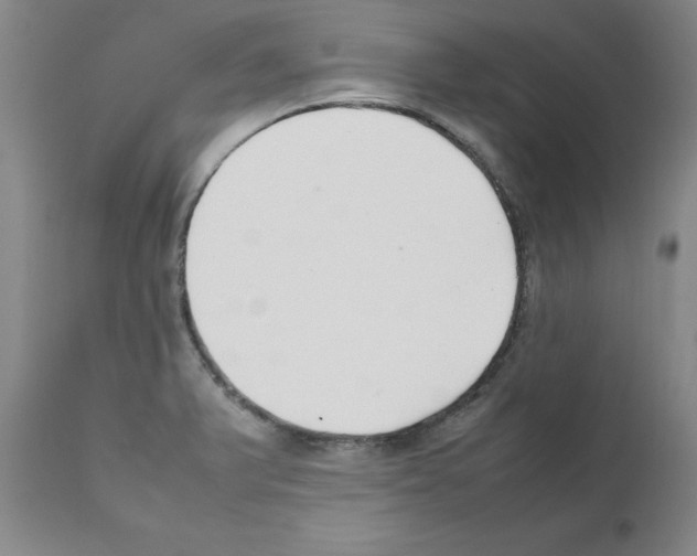 X0000111501375200908251039