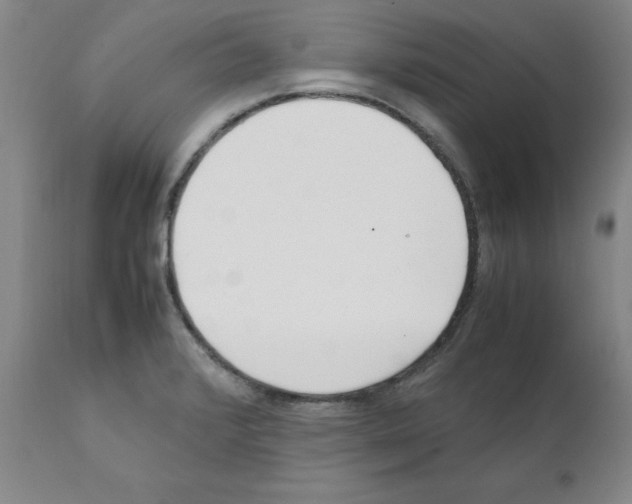 X0000111501376200908251039