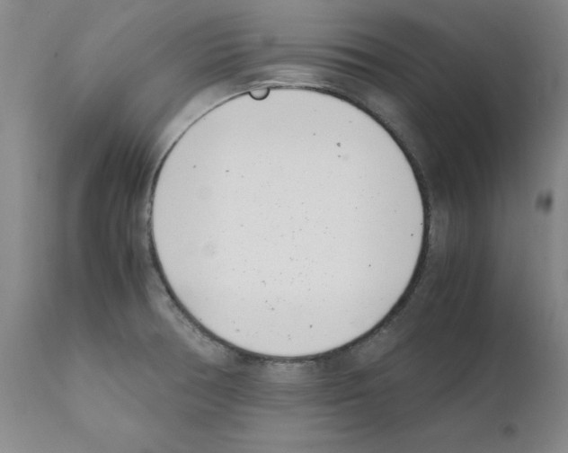 X0000111501378200908251039