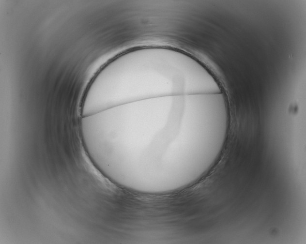 X0000111501380200908251039