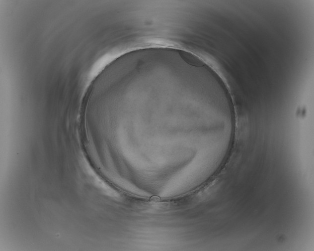 X0000111501381200908251039