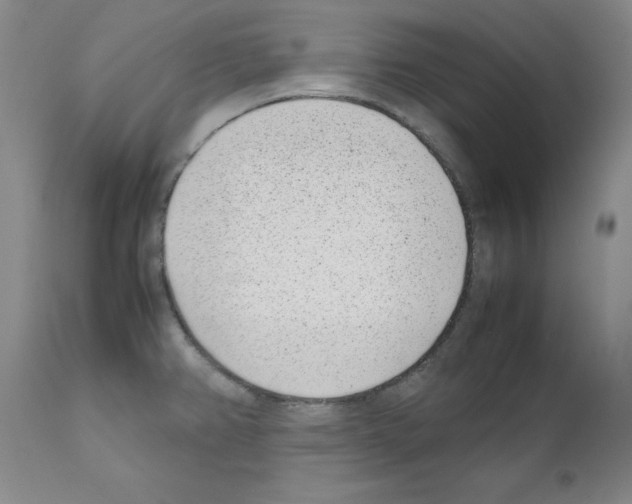 X0000111501382200908251039