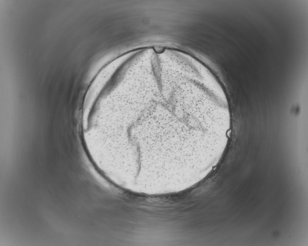 X0000111501383200908251039