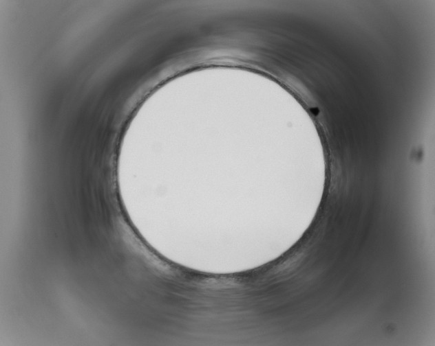 X0000111501384200908251039