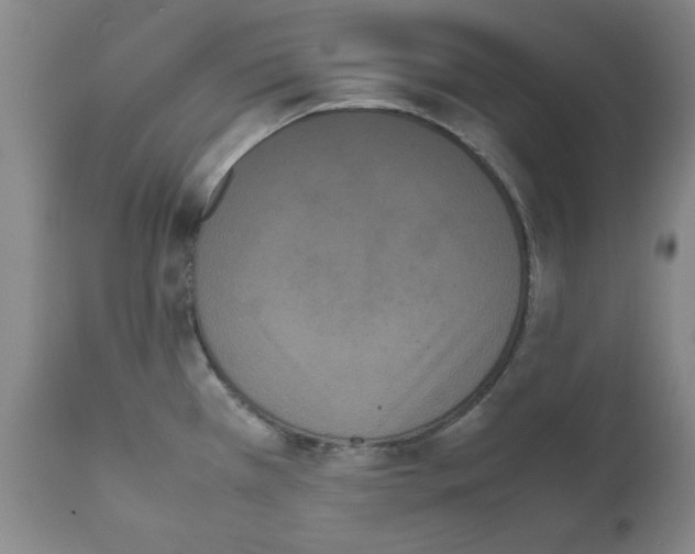 X0000111501385200908251039