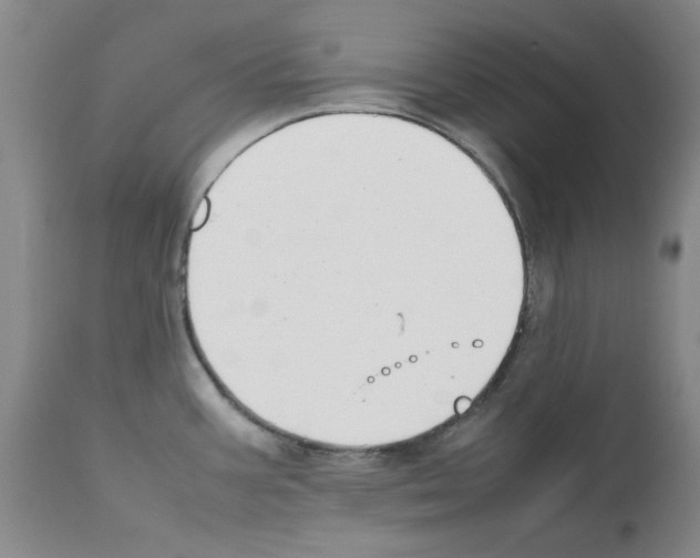 X0000111501387200908251039