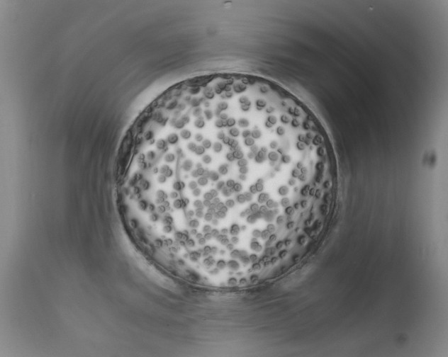 X0000111501389200908251039