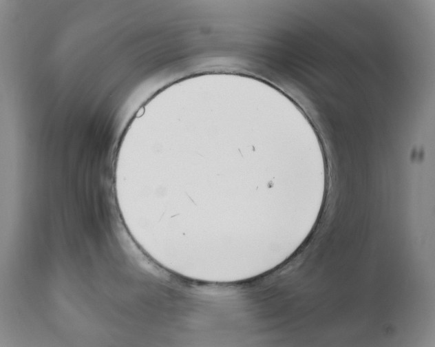 X0000111501392200908251039