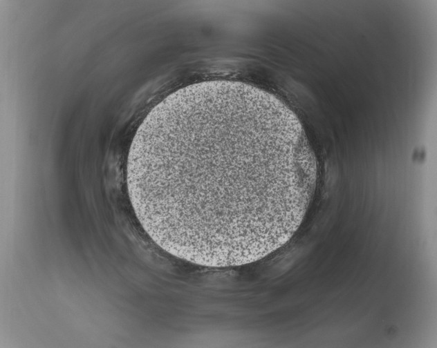 X0000111501394200908251038