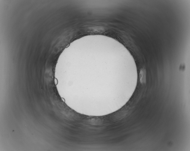 X0000111501395200908251038