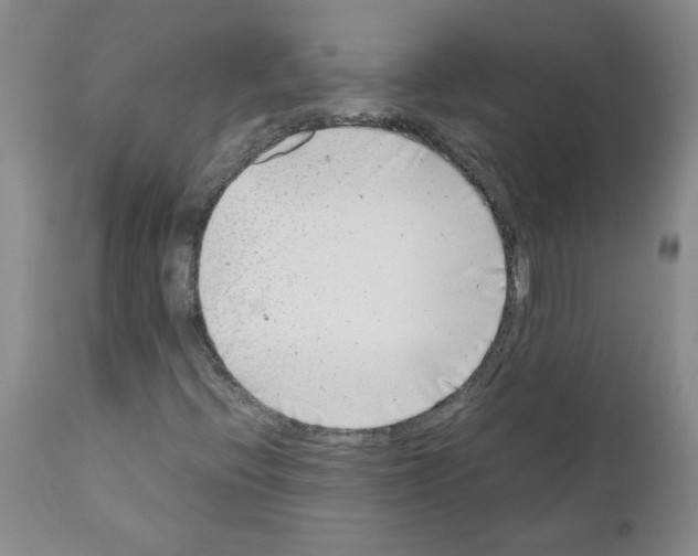 X0000111501396200908251038