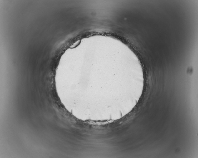 X0000111501398200908251038