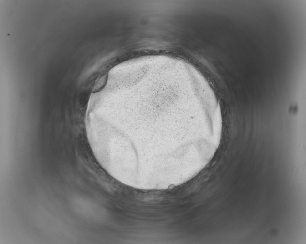 X0000111501399200908251038