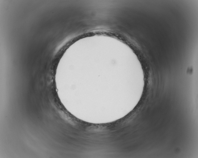 X0000111501400200908251038