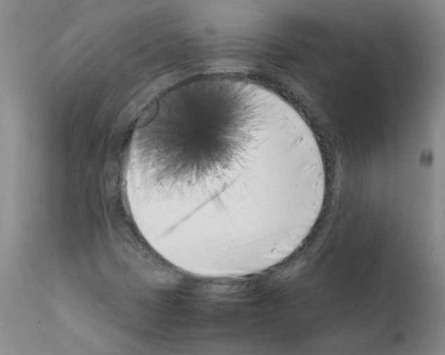 X0000111501401200908251038