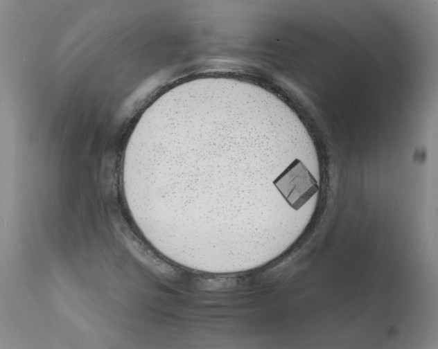 X0000111501403200908251039