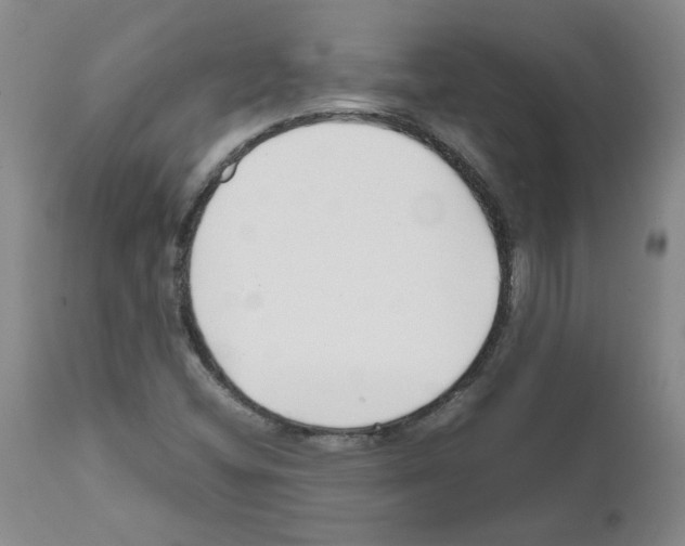 X0000111501404200908251039