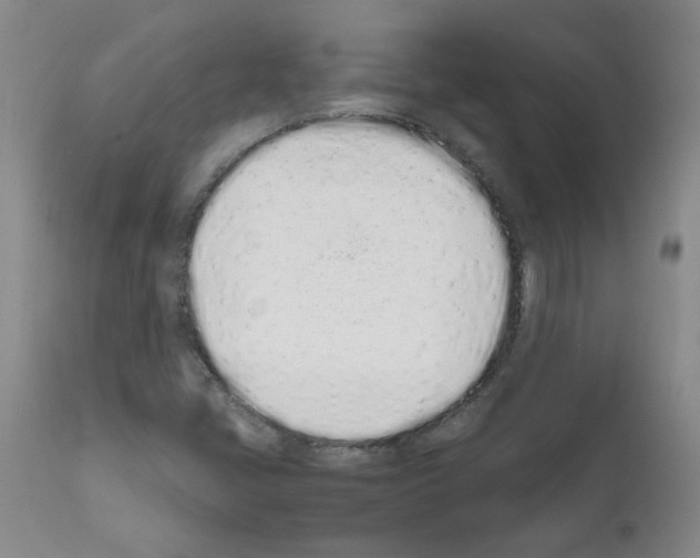 X0000111501405200908251039