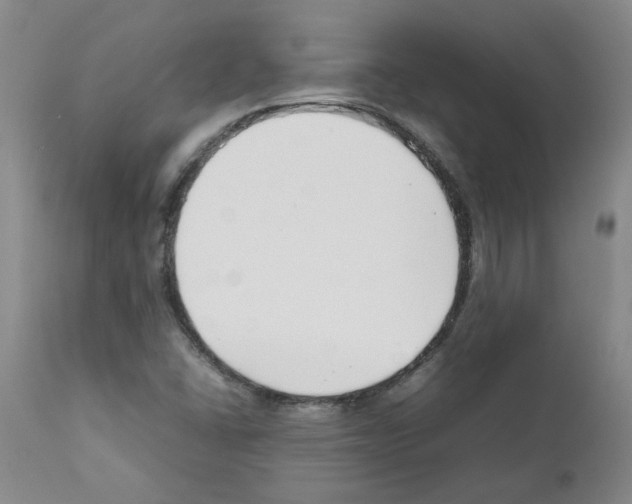 X0000111501406200908251039