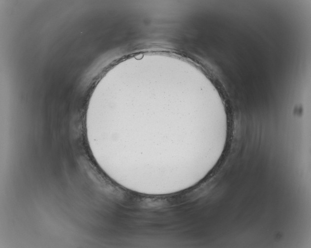 X0000111501407200908251039