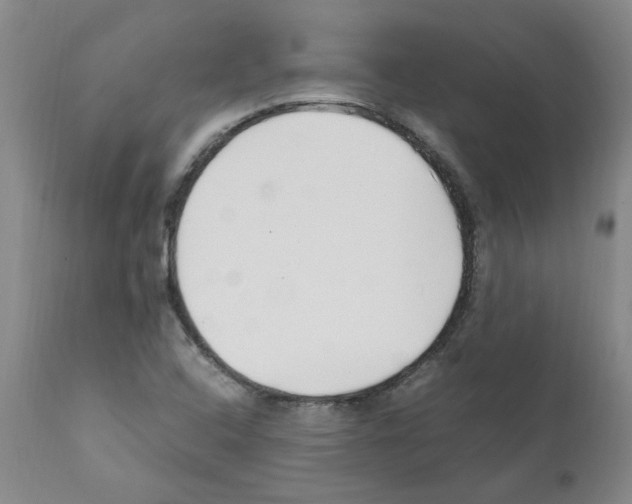 X0000111501408200908251039