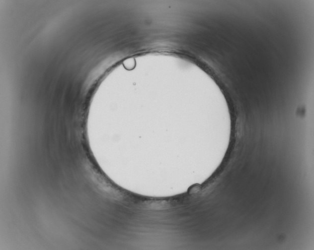 X0000111501410200908251039