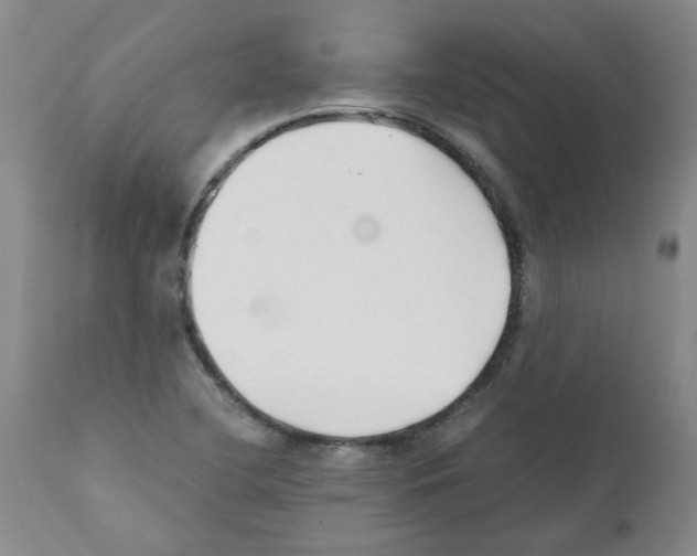 X0000111501412200908251039