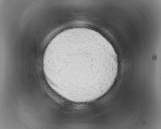 X0000111501413200908251039