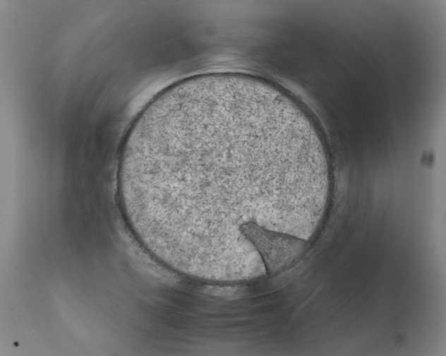 X0000111501415200908251039