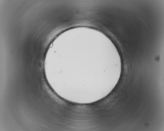 X0000111501416200908251039