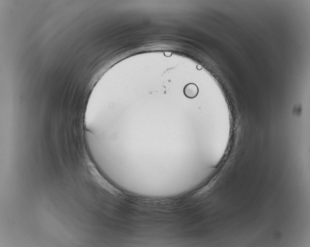 X0000111501417200908251039